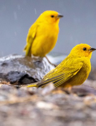 Why the same actions driving growth can also cut emissions