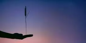 Public sector governance: Balancing purpose and pressure