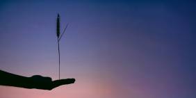 Public sector governance: Balancing purpose and pressure