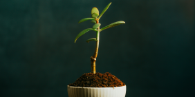 How to break a toxic organisational culture