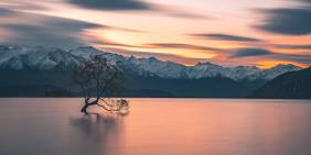 Landmark moment in New Zealand’s transition to a low-emissions future