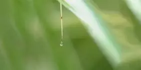 Why independent chairs matter for water governance