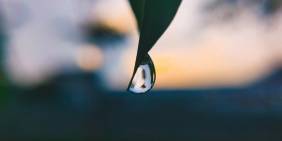 Why independent chairs matter for water governance