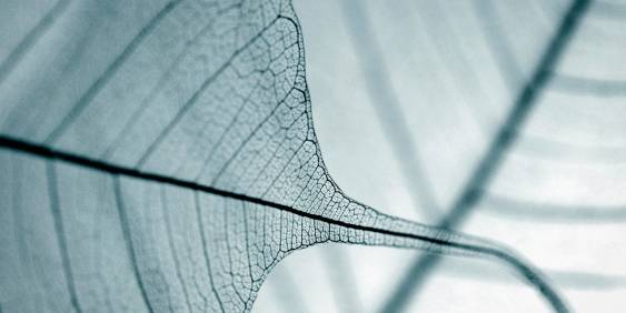 Look beyond ‘what comes next’, James Shaw tells directors 