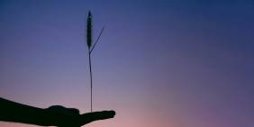 Public sector governance: Balancing purpose and pressure
