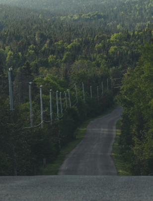 The cost of waiting for certainty on infrastructure