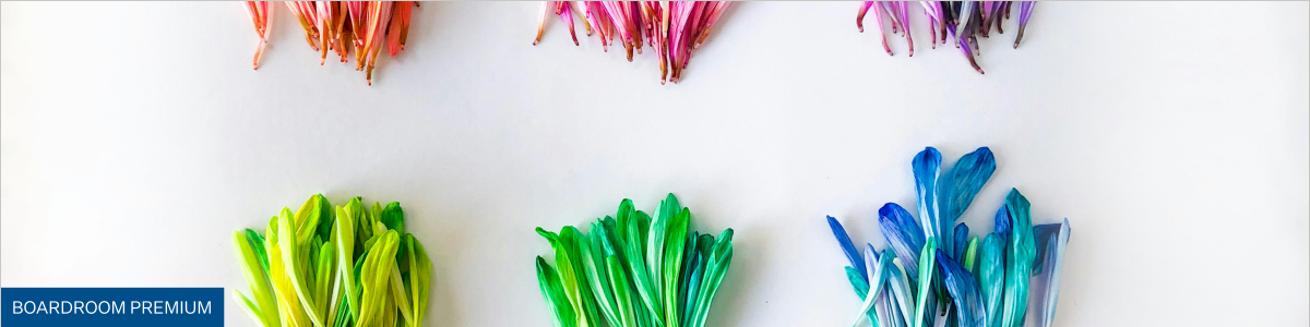 flowers cropped on a white background