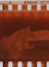 My governance playlist cta 5