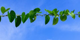 What happens when governance considers generations not yet born?