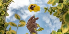 Looking in the mirror: why effective boards evaluate themselves