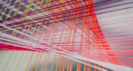 Governance (or the lack of it): a common thread