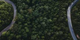 IMHO: The future of corporate governance: what if the trees had a say?