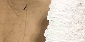 Who do your people trust?