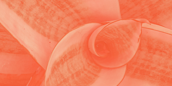 Rakon board battle shows growth in shareholder activism