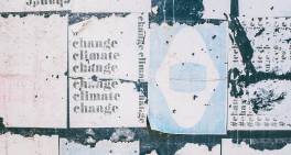 IMHO: Competing values