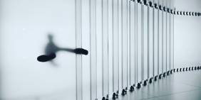 Insights from Māori directors