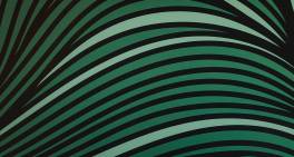 Te Huarahi Hōu: The new pathway