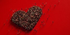 Webcast: Community Trusts – Governing in these times