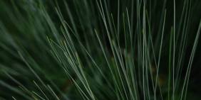 Submission on IFRS Foundation’s consultation paper on sustainability reporting