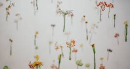 Aotearoa New Zealand Climate Standards