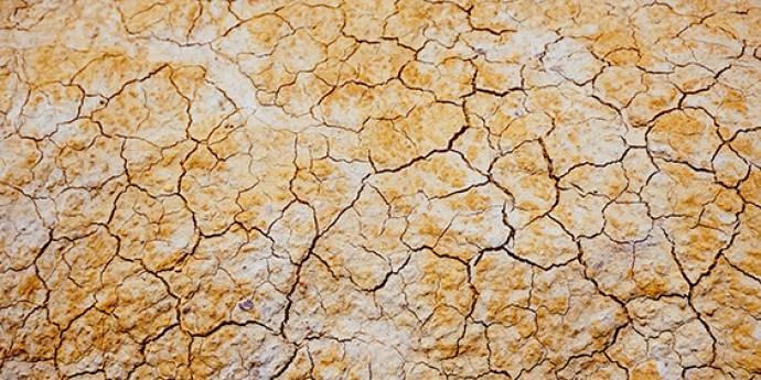 dry and cracked soil