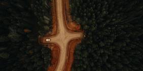 Pulse check - Bullying in the boardroom?