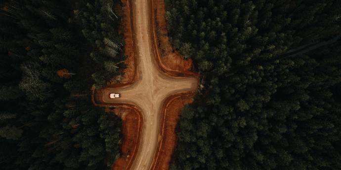 Cross roads in a forest