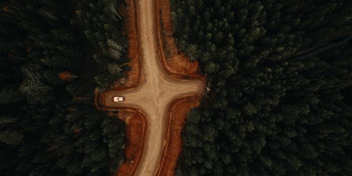 cross roads in forest