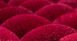 Changes to NZX Corporate Governance Code and ESG Guidance Note released