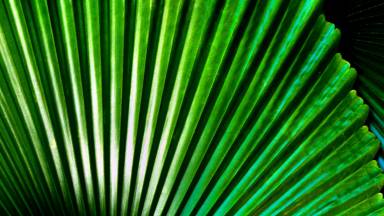 Rakihia Tau: Insights on Māori governance and leadership