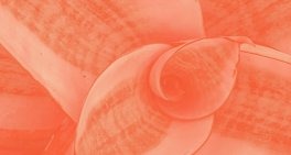 Rakon board battle shows growth in shareholder activism