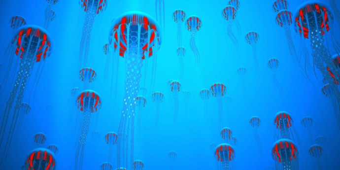 jellyfish rising up underwater