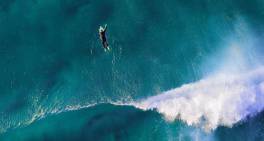 The board's role in a crisis