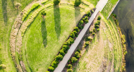 Financial markets reform: turning down the liability, turning up the signal 