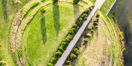 Overhead perspective of a circular path in a park, bordered by trees and grass, highlighting the park's design.