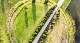 Financial markets reform: turning down the liability, turning up the signal 