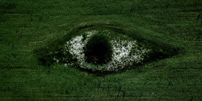 an eye on a green face