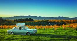 Resilience is your best friend