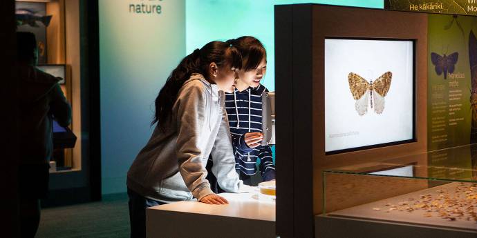 Two girls looking at butterfly display in a museum. 