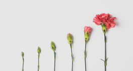 How to prepare for new disclosures 