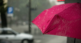Directing business in heavy weather 