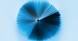 Choosing the right CEO