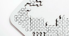 Get active in shaping policy