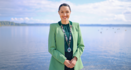 Mixing politics and governance