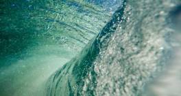 Navigating the storm