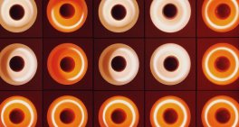 The pressing issues for Kiwi CEOs