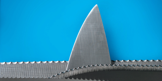 Shark fin in a sea made of chainsaw teeth with blue background