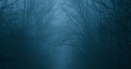 Ensuring the AI dream does not become your biggest nightmare
