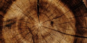 Embracing te ao Māori wisdom: lessons for non-indigenous organisations