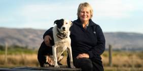Dawn Sangster: Taking the bull by the horns